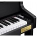 Цифровое пианино Casio Grand Hybrid GP-310BK